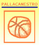 Pallacanestro