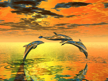 DELFINI
