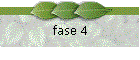 fase 4