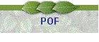 POF 2010-2011