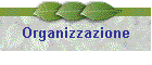 Organizzazione