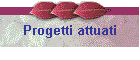 Progetti attuati